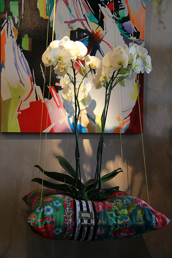 orchidée blanche sur coussin de couleurs