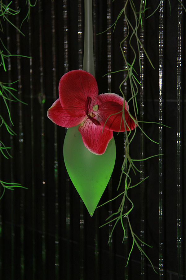 orchidée rose suspendue