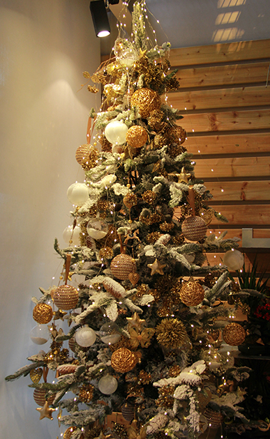 sapin-de-noel-montpellier-symphonie-florale-fleuriste