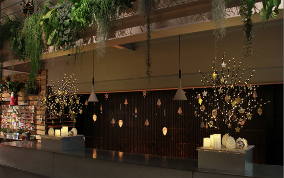 vitrine-de-noel-montpellier-symphonie-florale-fleuriste