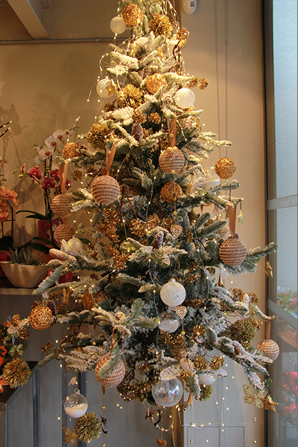 vitrine-de-noel-montpellier-symphonie-florale-fleuriste