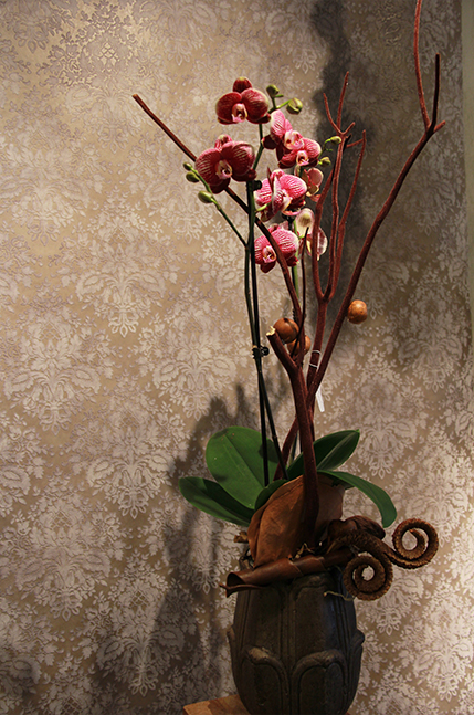 vitrine-de-noel-montpellier-symphonie-florale-fleuriste