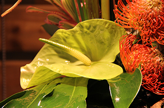 symphonie-florale-fleuriste-montpellier-juvignac-fleurs-exotiques_09