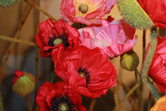 symphonie-florale-fleuriste-montpellier-juvignac-printemps-ete-2016_07