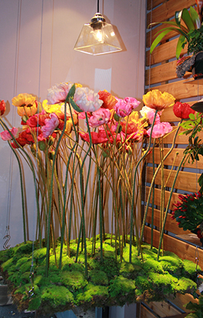 symphonie-florale-fleuriste-montpellier-juvignac-printemps-ete-2016_09