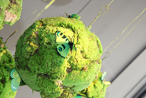 symphonie-florale-mousse-papillons-printemps-ete-2016_06