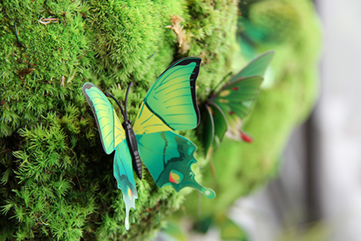 symphonie-florale-mousse-papillons-printemps-ete-2016_12_12_12