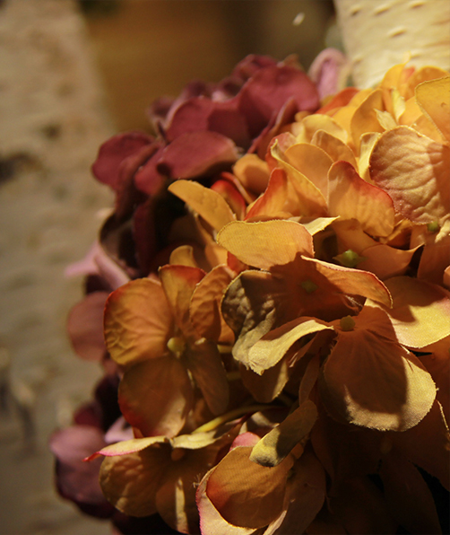 hortensias-bouleau-blanc-fruits-automne-fleuriste-montpellier-juvignac-symphonie-florale_13