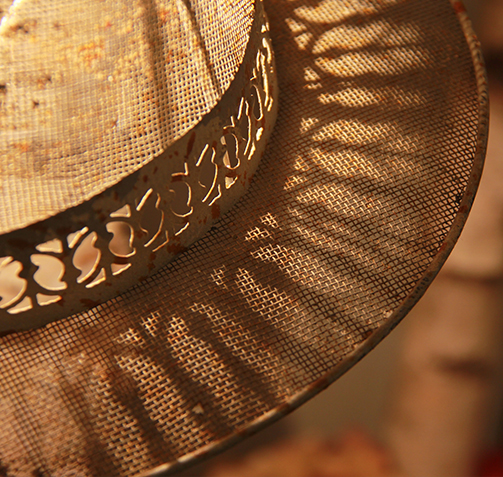 hortensias-bouleau-blanc-fruits-automne-fleuriste-montpellier-juvignac-symphonie-florale_23