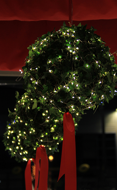 boules-de-lierre-lumineuses_03