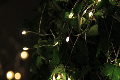 boules-de-lierre-lumineuses_11