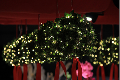 boules-de-lierre-lumineuses_14