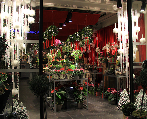 vitrine-noel-montpellier-juvignac-symphonie-florale_09