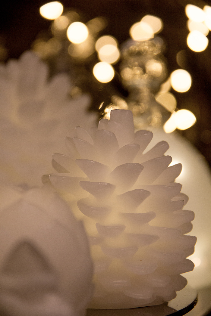 symphonie-florale-juvignac-montpellier-fleuriste-boutique-noel16