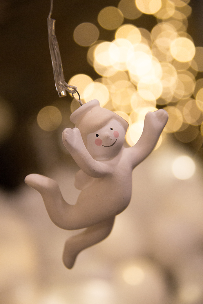 symphonie-florale-juvignac-montpellier-fleuriste-boutique-noel17