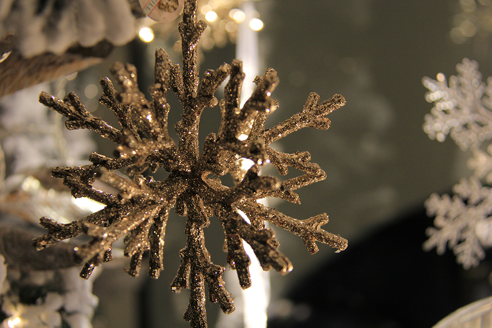 symphonie-florale-juvignac-montpellier-fleuriste-boutique-noel31