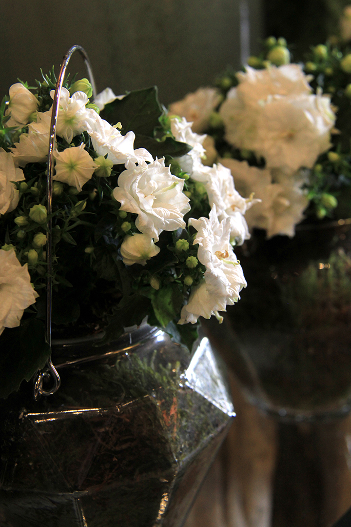 le-blanc-symphonie-florale