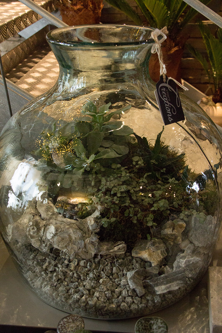 terrarium-symphonie-florale-2