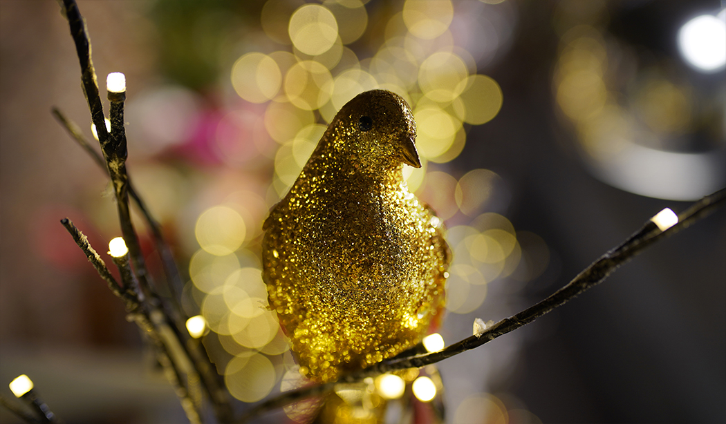 decoration-noel-symphonie-florale-fleuriste-juvignac-montpellier-12 decoration-noel-symphonie-florale-fleuriste-juvignac-montpellier