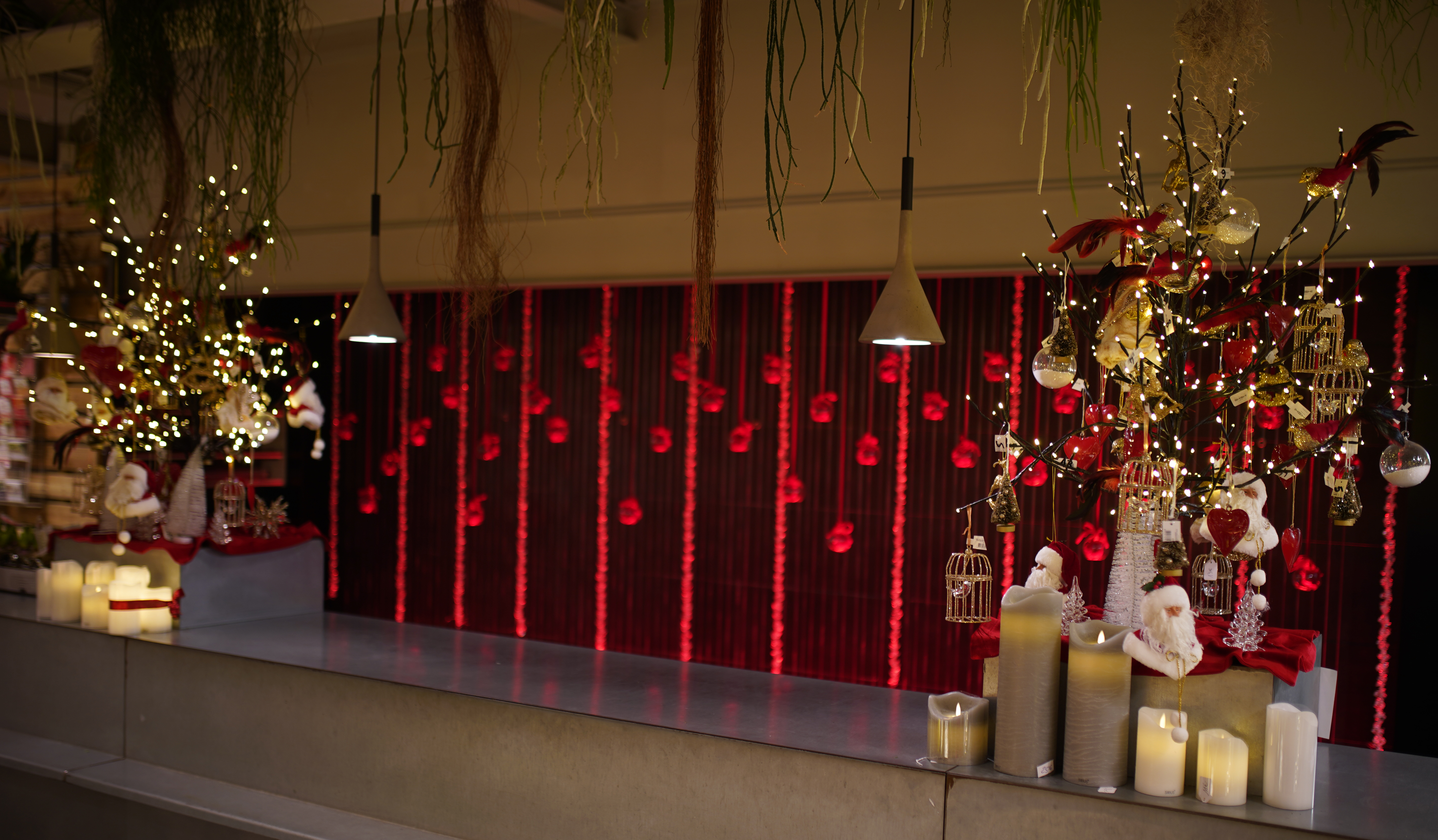 decoration-noel-symphonie-florale-fleuriste-juvignac-montpellier-9