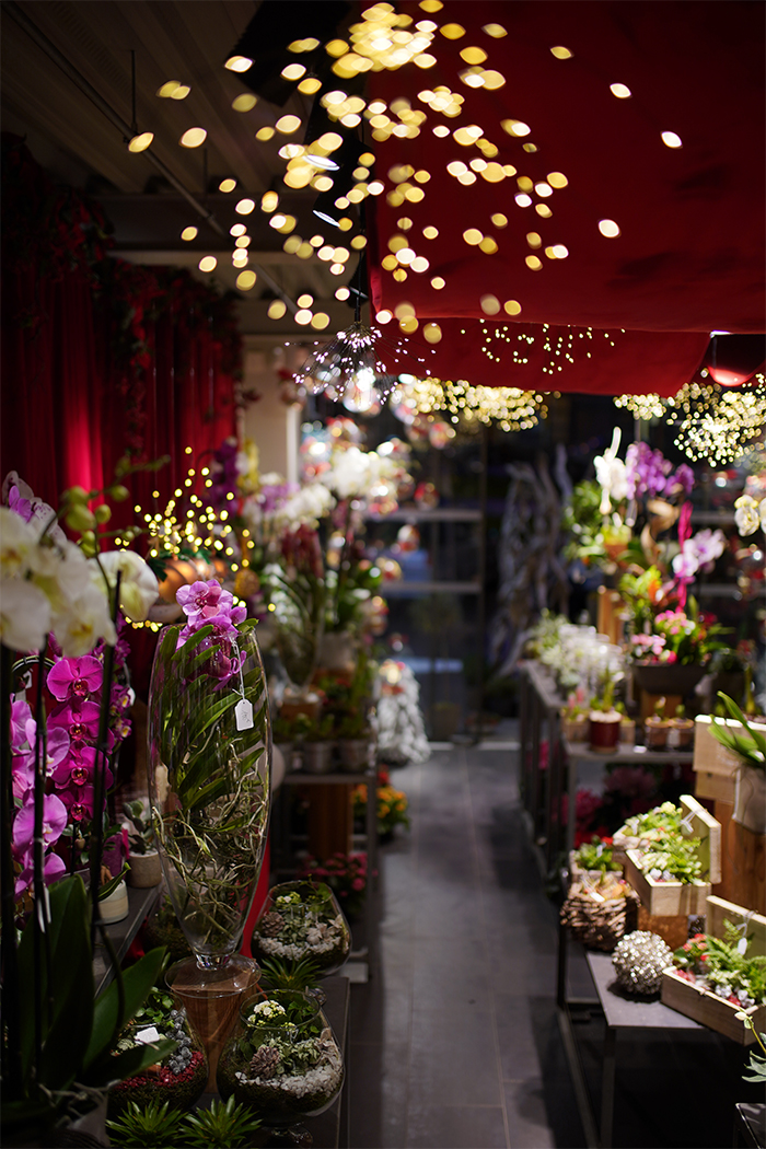 decoration-noel-symphonie-florale-fleuriste-juvignac-montpellier