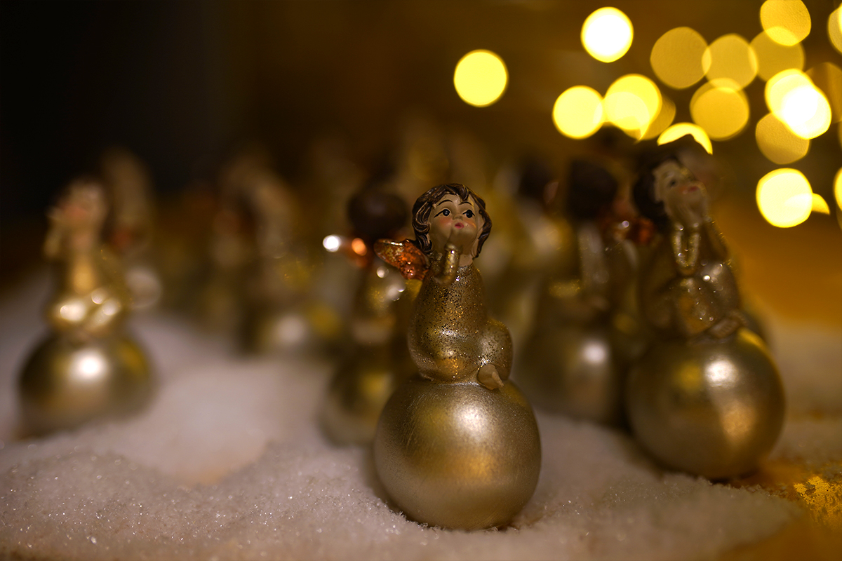 decoration-noel-symphonie-florale-fleuriste-juvignac-montpellier