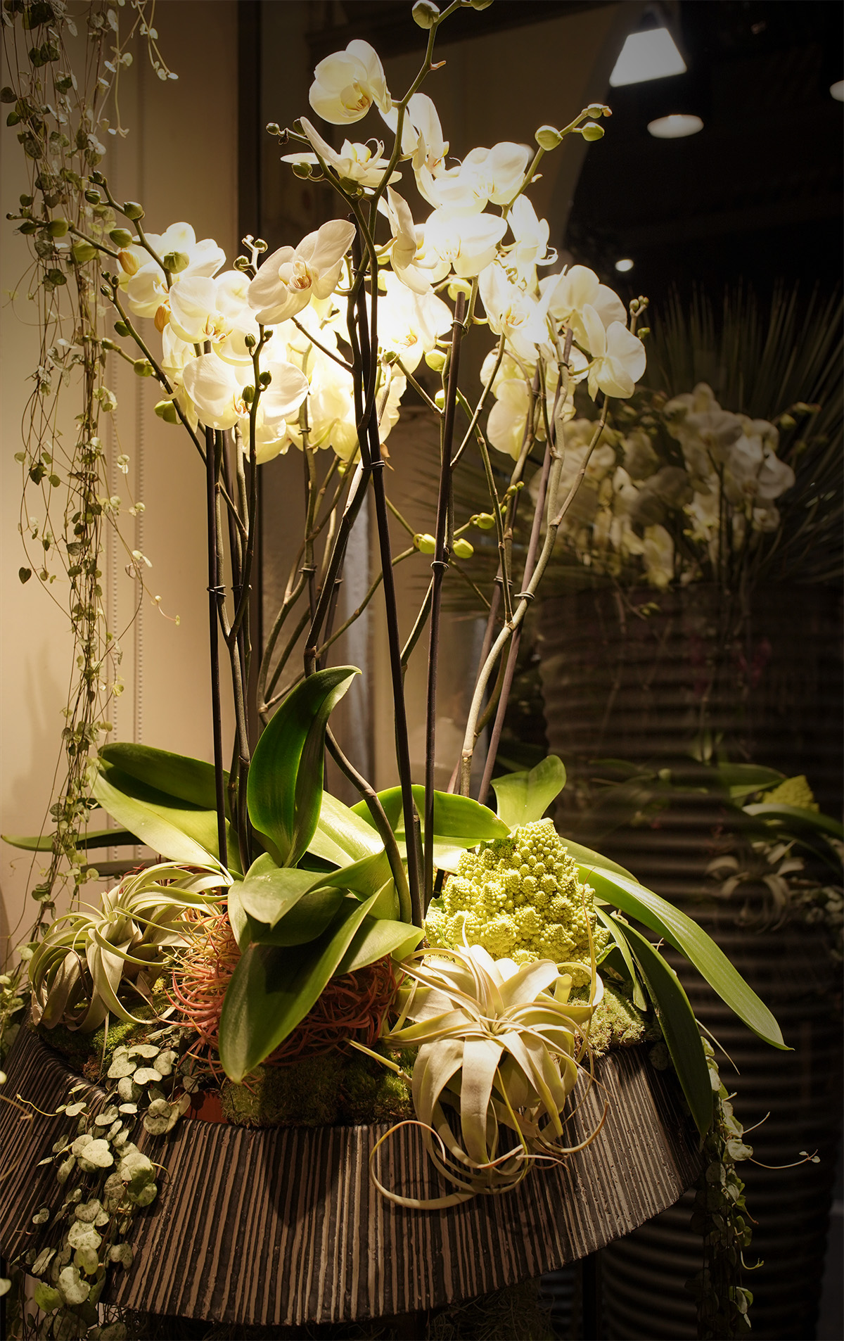 composition-florale-symphonie-florale composition-florale-symphonie-florale