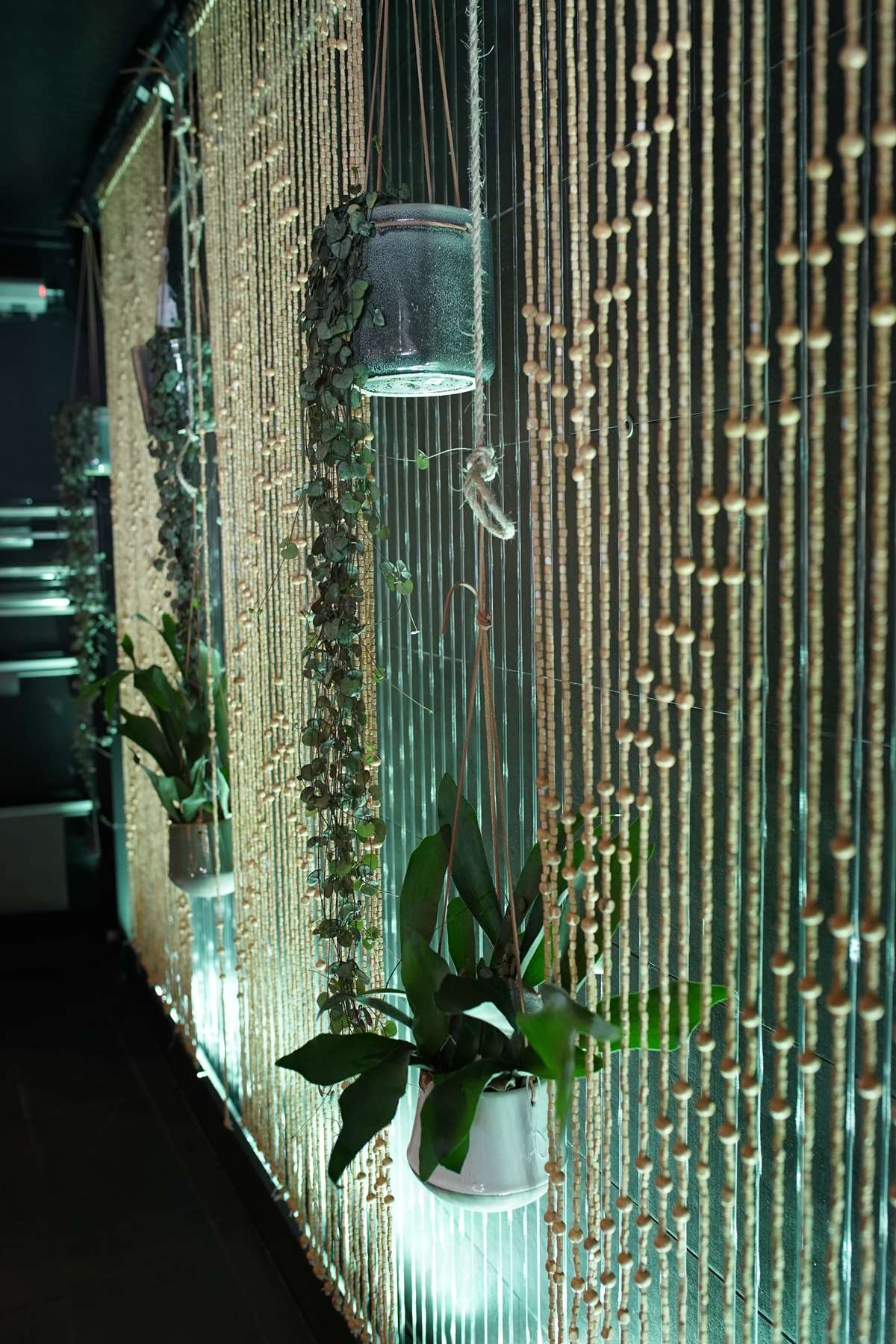 symphonie-florale-fleuriste-juvignac-montpellier-vitrine-printemps-2019 (113)