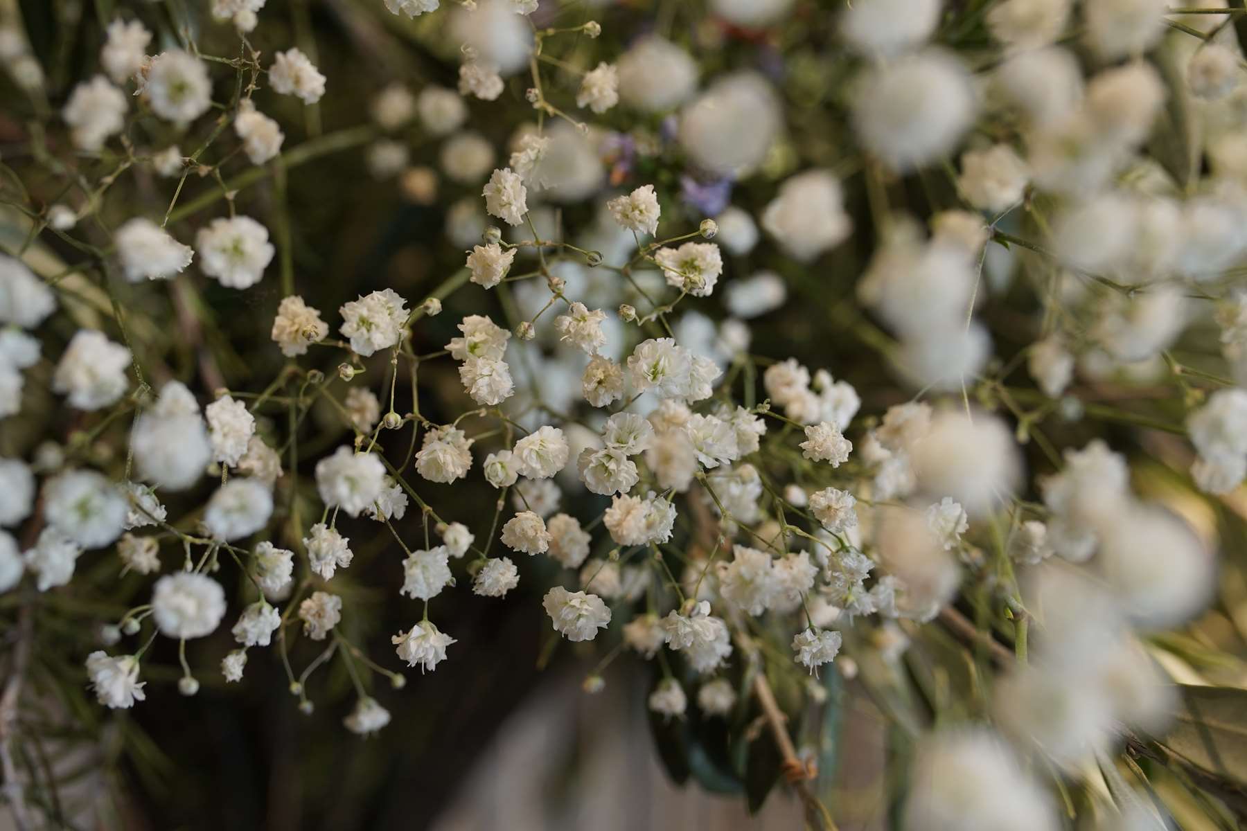 symphonie-florale-fleuriste-juvignac-montpellier-vitrine-printemps-2019 (6)