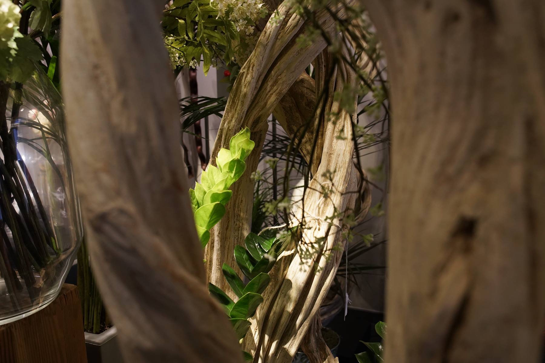 lianes-bois naturel exotique montpellier