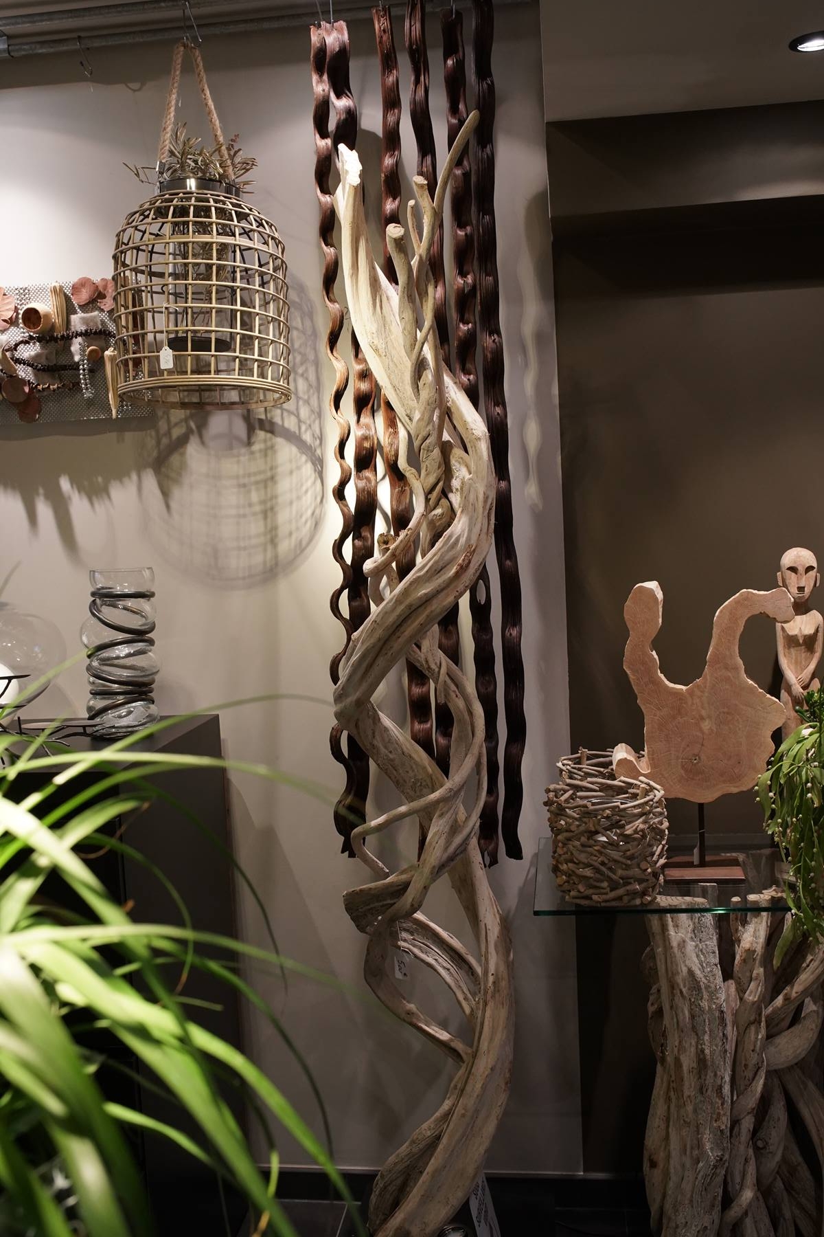 lianes-bois naturel exotique