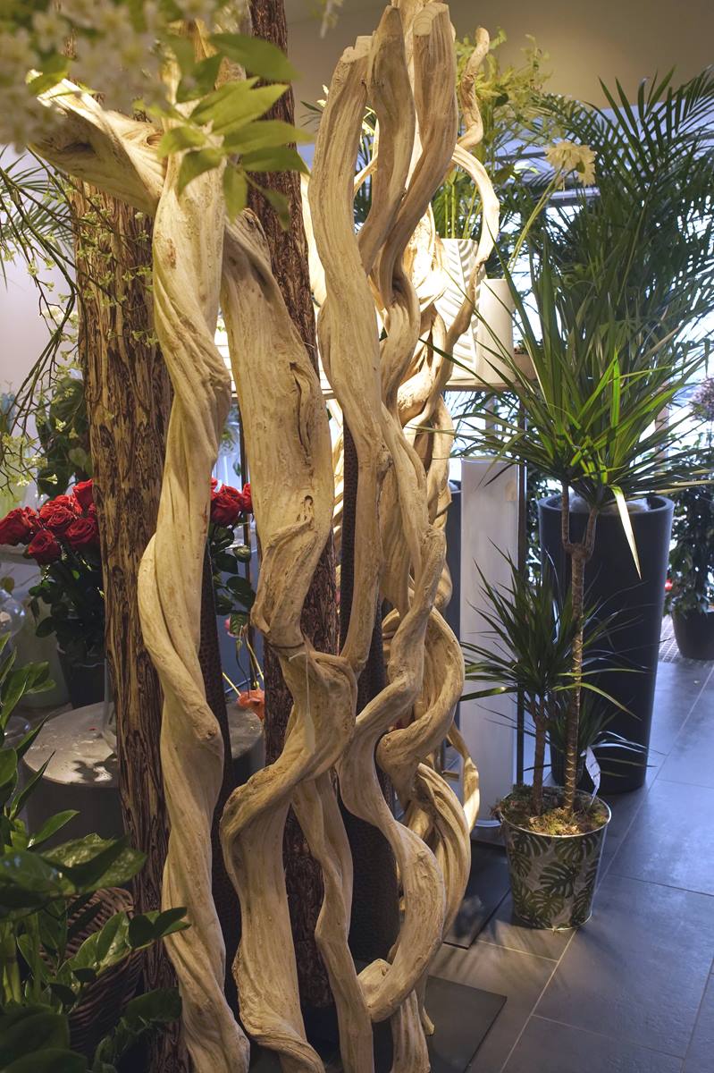 Les lianes en bois naturel exotique Symphonie Florale Fleuriste juvignac