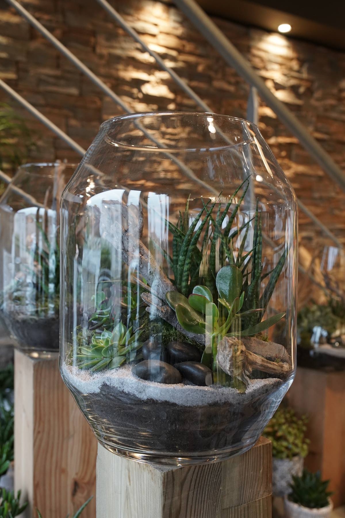 terrarium-montpellier-decoration-interieur-juvignac-symphonie-florale