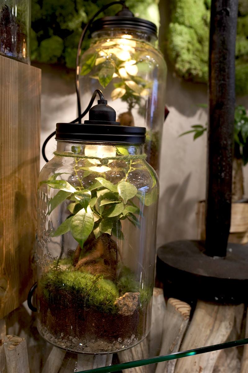 vitrine-automne-pommes-rouges-decoration-montpellier-symphonie-florale