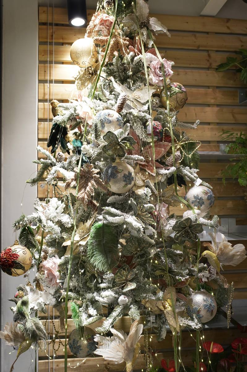 sapin-de-noel-montpellier