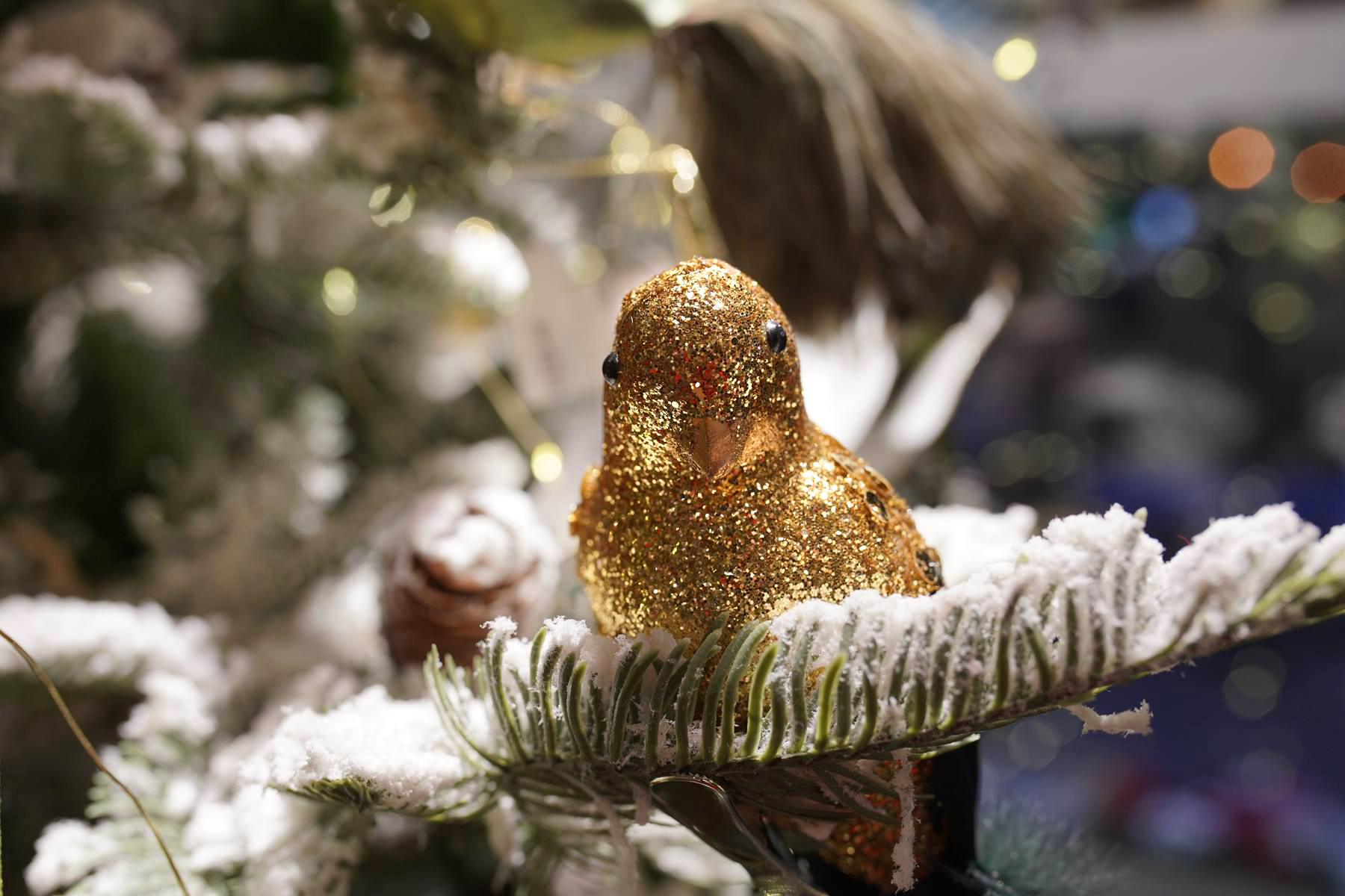 oiseaux doré paillete paillettes or noel 2019