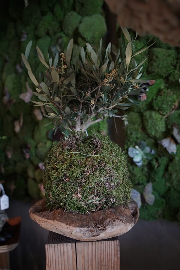 olivier-sur-plateau-olivier-symphonie-florale