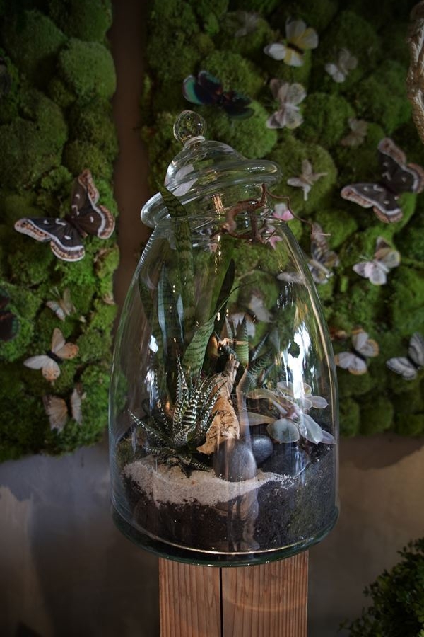 symphonie-florale-terrarium-vases-printemps (13)