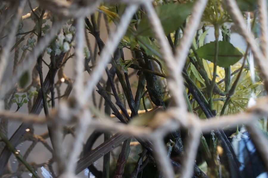 symphonie-florale-terrarium-vases-printemps (6)