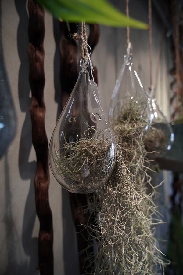 vases-symphonie-florale (11)