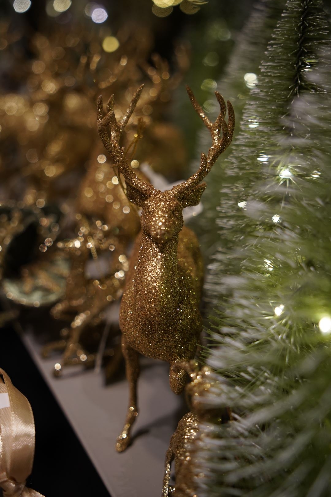 decoration-noel-2020-symphonie-florale-juvignac (1