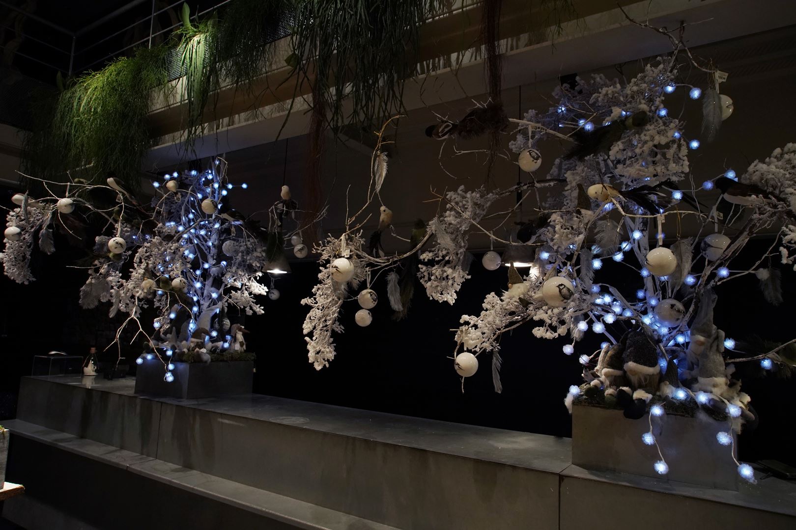 vitrine-noel-2020-symphonie-florale-juvignac (11)