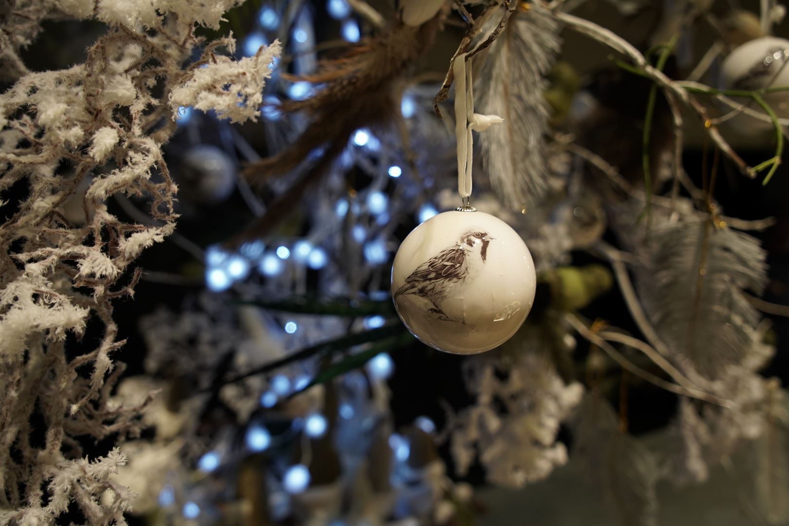 vitrine-noel-2020-symphonie-florale-juvignac (7)