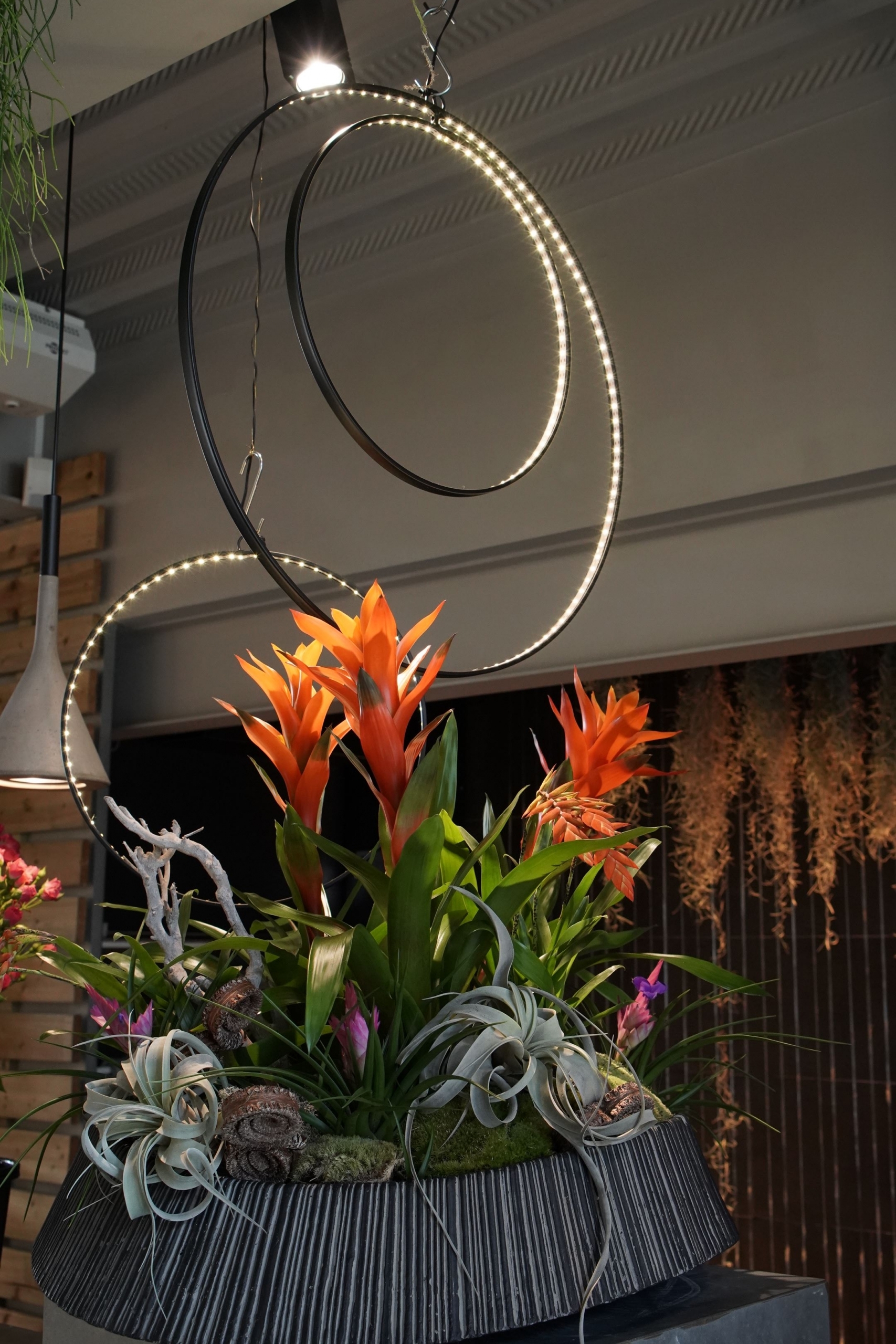 lampes led attrapes reves