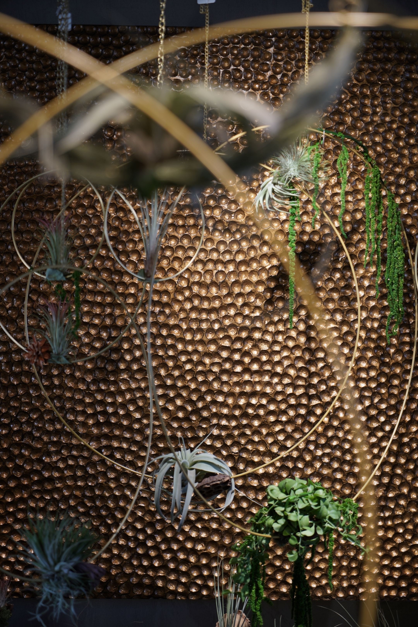 symphonie-florale-tillandsia